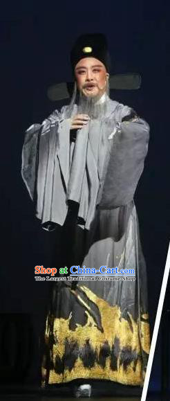 Chinese Yue Opera Old Man Official Garment and Hat Shaoxing Opera Laosheng Qing Teng Kuang Ge Elderly Male Hu Zongxian Apparels Costumes