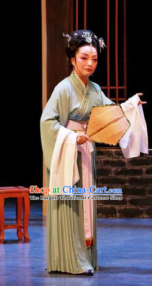 The Peacocks Fly To The Southeast Chinese Shaoxing Opera Laodan Dress Apparels Yue Opera Garment Elderly Female Costumes and Headpieces