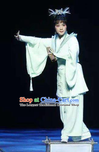 Chinese Shaoxing Opera Swordswoman The Story of Goddess Apparels Costumes and Headpieces Yue Opera Xiaodan Dress Garment