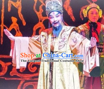 Cang Sheng Chinese Yue Opera Laosheng Elderly Male Apparels and Headwear Shaoxing Opera Emperor Qian Liu Garment Costumes