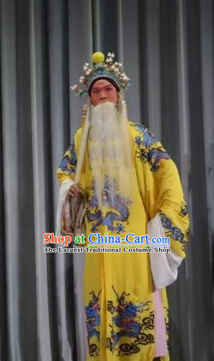 Bai Sui Gua Shuai Chinese Yue Opera Laosheng Apparels and Headwear Shaoxing Opera Elderly Male Garment Emperor Costumes