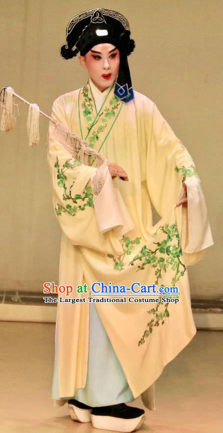 Bai Luo Shan Chinese Kun Opera Xiaosheng Niche Apparels Garment Costumes and Headwear Kunqu Opera Scholar Xu Jizu Robe Clothing
