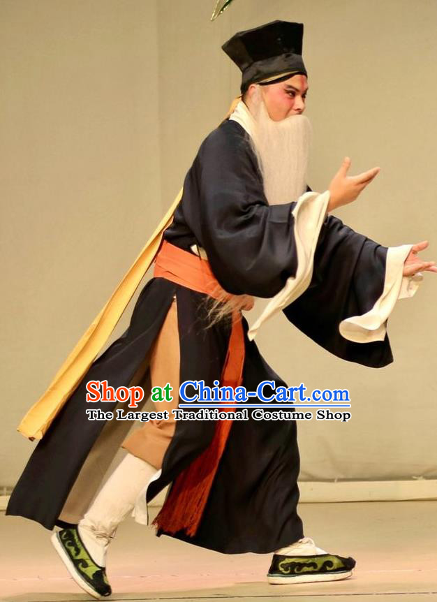 Bai Luo Shan Chinese Kun Opera Old Servant Yao Da Apparels Garment Costumes and Headwear Kunqu Opera Laosheng Clothing