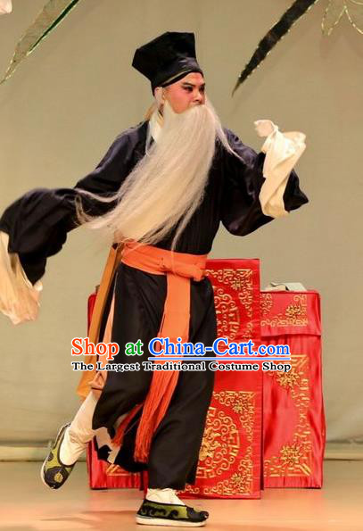 Bai Luo Shan Chinese Kun Opera Old Servant Yao Da Apparels Garment Costumes and Headwear Kunqu Opera Laosheng Clothing