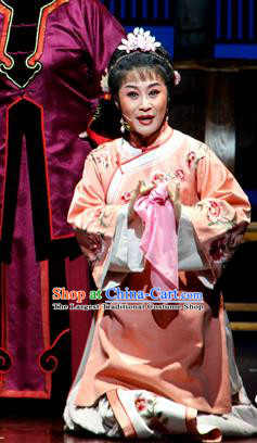 Chinese Huangmei Opera Young Mistress Li Niang Costumes Apparels and Headpieces Bu Yue Lei Chi Traditional Anhui Opera Female Dress Garment