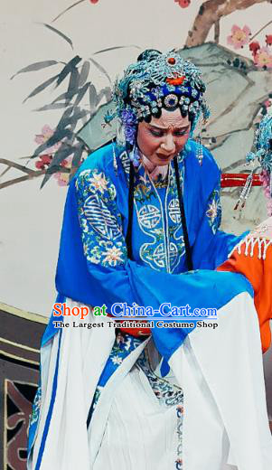 Chinese Shaoxing Opera Old Woman Dress The Jade Hairpin Yue Opera Costumes Elderly Female Apparels Garment and Headpieces