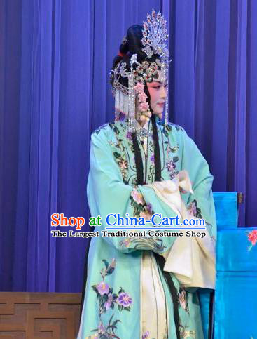 Chinese Ping Opera Cha Ping Ji Young Female Apparels Costumes and Headpieces Traditional Pingju Opera Hua Tan Gong Xiuying Dress Garment