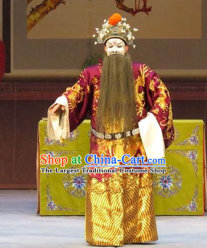 Li Xianglian Selling Paintings Chinese Ping Opera Laosheng Costumes and Headwear Pingju Opera Elderly Male Prime Minister Wen Tong Apparels Clothing
