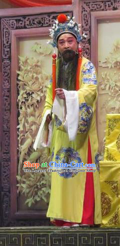 Yang Bajie You Chun Chinese Ping Opera Emperor Renzong Costumes and Headwear Pingju Opera Elderly Male Apparels Official Clothing