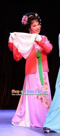 Chinese Shaoxing Opera Envious Female Costumes and Hair Accessories Lions Roar Yue Opera Dress Young Mistress Garment Apparels