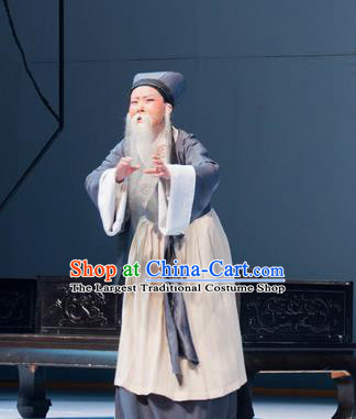 Liu Yong Chinese Yue Opera Elderly Male Garment and Headwear Shaoxing Opera Lao Sheng Costumes Apparels Old Man Clothing