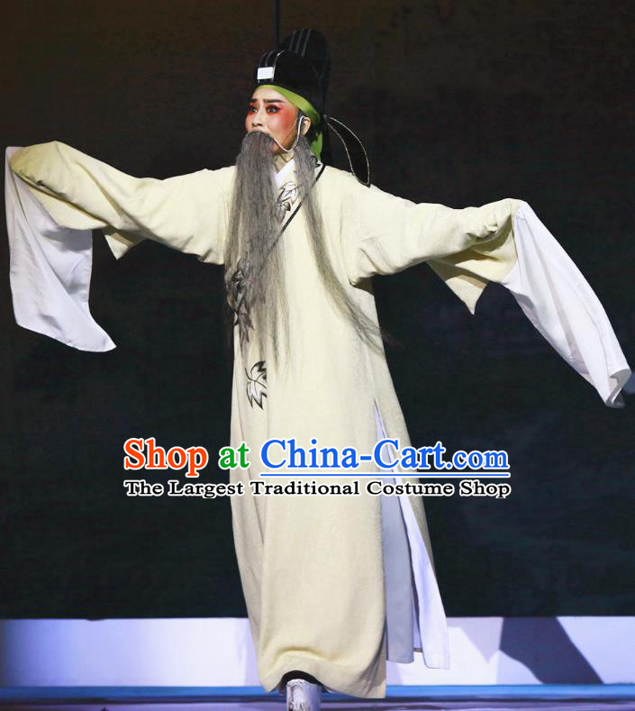Liu Yong Chinese Yue Opera Elderly Man Garment and Headwear Shaoxing Opera Lao Sheng Costumes Apparels Old Man Official Clothing