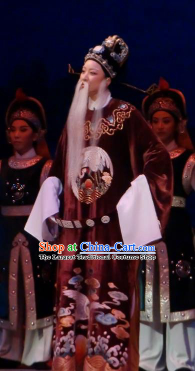 Chinese Yue Opera Official Costumes and Hat Emperor and the Village Girl Shaoxing Opera Elderly Man Garment Apparels Embroidered Robe