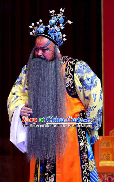 Palm Civet for Prince Chinese Ping Opera Emperor Zhenzong Costumes and Headwear Pingju Opera Elderly Male Apparels Clothing
