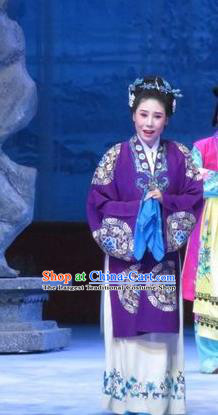 Chinese Ping Opera Elderly Female Apparels Costumes and Headpieces Tell on Sargam Traditional Pingju Opera Dame Purple Dress Garment