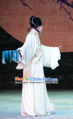 On A Wall and Horse Chinese Peking Opera Young Male Pei Shaojun Garment Costumes and Headwear Beijing Opera Xiaosheng Apparels Scholar White Robe Clothing
