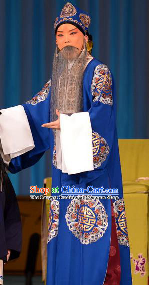 Zhu Sha Zhi Chinese Peking Opera Prefecture Han Tingfeng Garment Costumes and Headwear Beijing Opera Laosheng Apparels Elderly Male Clothing