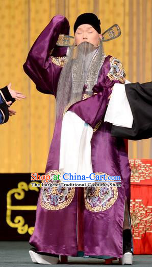 Hong Yang Dong Chinese Peking Opera Elderly Male Garment Costumes and Headwear Beijing Opera Laosheng Apparels Landlord Yang Yanzhao Clothing