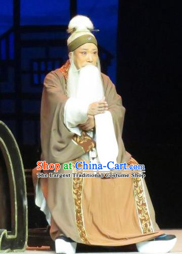 Saving Orphan Chinese Ping Opera Laosheng Garment Costumes and Headwear Pingju Opera Elderly Male Gongsun Chujiu Apparels Clothing