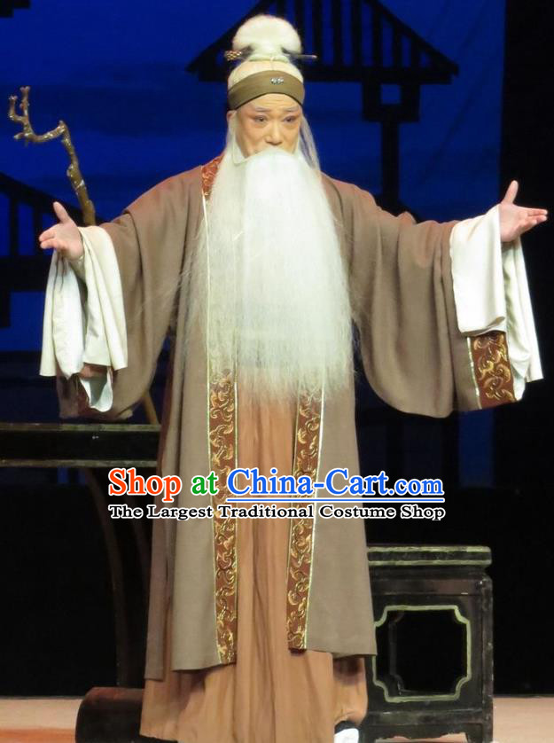 Saving Orphan Chinese Ping Opera Laosheng Garment Costumes and Headwear Pingju Opera Elderly Male Gongsun Chujiu Apparels Clothing