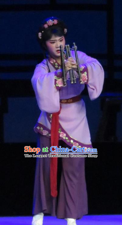Chinese Ping Opera Maidservant Cai Feng Apparels Costumes and Headpieces Traditional Pingju Opera Saving Orphan Young Lady Purple Dress Garment