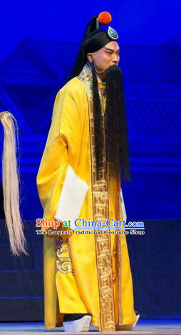 Princess Changping Chinese Peking Opera Emperor Chongzhen Garment Costumes and Headwear Beijing Opera Ming Dynasty Monarch Apparels Clothing