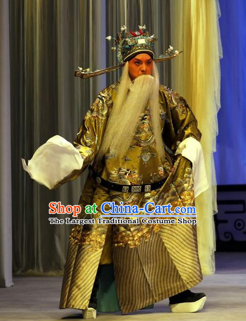 Zhan Hong Zhou Chinese Peking Opera Laosheng Garment Costumes and Headwear Beijing Opera Elderly Male Apparels Official Yang Yanzhao Clothing