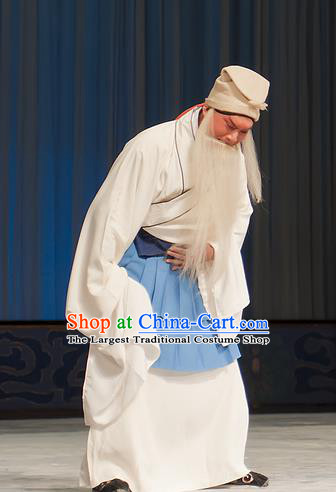 Zhou Ren Xian Sao Chinese Peking Opera Elderly Male Apparels Costumes and Headpieces Beijing Opera Laosheng Garment Old Servant Clothing