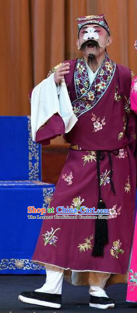 Li Sanniang Chinese Peking Opera Chou Apparels Costumes and Headpieces Beijing Opera Elder Brother Garment Clown Clothing