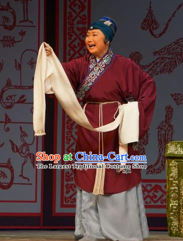Chinese Beijing Opera Dame Garment Legend of Xu Mu Costumes and Hair Accessories Traditional Peking Opera Laodan Dress Pantaloon Apparels