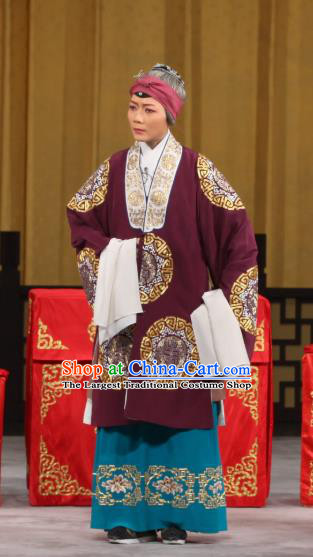 Chinese Beijing Opera Rich Dame Garment Jin Yunu Costumes and Hair Accessories Traditional Peking Opera Pantaloon Dress Elderly Female Apparels