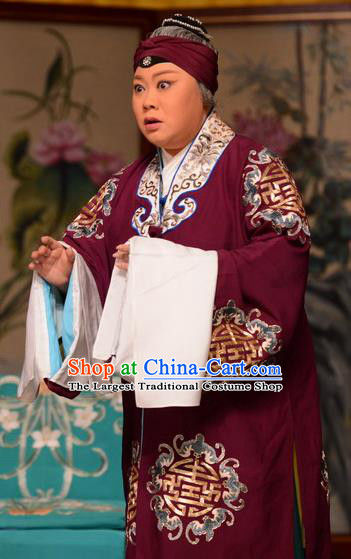 Chinese Beijing Opera Laodan Garment Snow in June Costumes and Hair Accessories Traditional Peking Opera Pantaloon Dress Dame Apparels