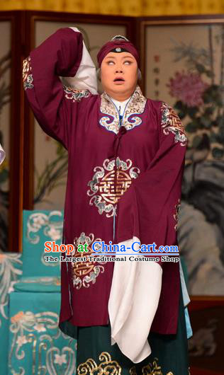 Chinese Beijing Opera Laodan Garment Snow in June Costumes and Hair Accessories Traditional Peking Opera Pantaloon Dress Dame Apparels
