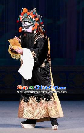 Hua Long Dian Jing Chinese Peking Opera Military Officer Apparels Costumes and Headpieces Beijing Opera General Chang He Garment Clothing