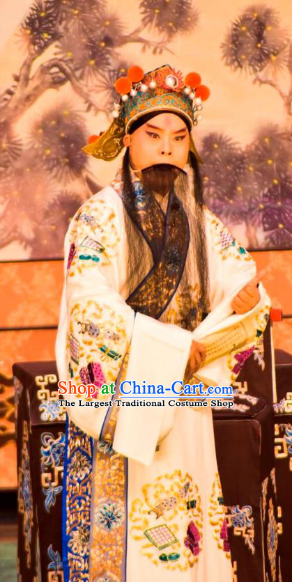Zeng Ti Pao Chinese Peking Opera Laosheng Apparels Costumes and Headpieces Beijing Opera Elderly Male Garment Fan Ju Clothing