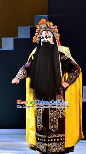 Ming City Wall Chinese Peking Opera Wusheng Xu Shicheng Apparels Costumes and Headpieces Beijing Opera Martial Male Garment Swordsman Clothing