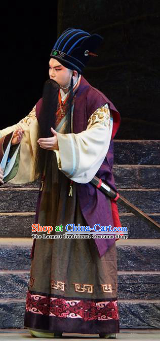 King of Qi Tian Heng Chinese Peking Opera Laosheng Apparels Costumes and Headpieces Beijing Opera Elderly Male Garment Clothing