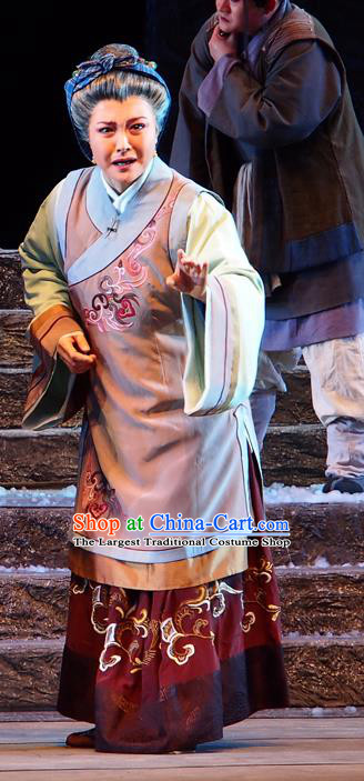 Chinese Beijing Opera Elderly Female Garment Costumes and Hair Accessories King of Qi Tian Heng Traditional Peking Opera Pantaloon Dress Dame Apparels