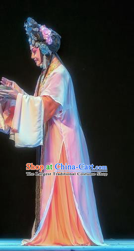 Chinese Sichuan Opera Diva Dou Suyi Garment Costumes and Hair Accessories Bao En Ji Traditional Peking Opera Hua Tan Dress Young Female Apparels