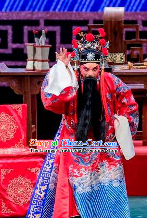 Qin Xianglian Chinese Sichuan Opera Laosheng Apparels Costumes and Headpieces Peking Opera Elderly Male Garment Scholar Chen Shimei Clothing