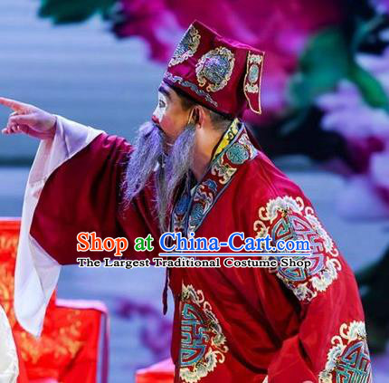 He Zhu Pei Chinese Sichuan Opera Landlord Jin Sanguan Apparels Costumes and Headpieces Peking Opera Elderly Male Garment Ministry Councillor Clothing