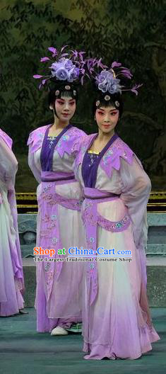 Chinese Beijing Opera Xiaodan Apparels Costumes and Headpieces Tai Zhen Wai Zhuan Traditional Peking Opera Goddess Garment Dress