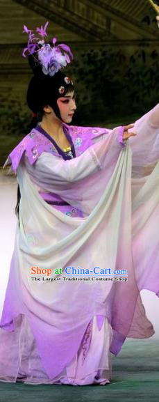 Chinese Beijing Opera Xiaodan Apparels Costumes and Headpieces Tai Zhen Wai Zhuan Traditional Peking Opera Goddess Garment Dress
