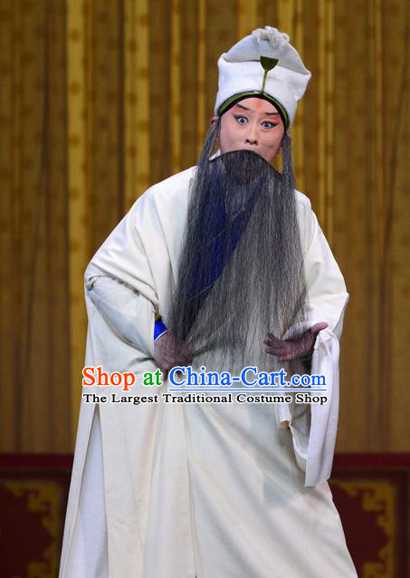Revenge of the Fisherman Chinese Peking Opera Laosheng Garment Costumes and Headwear Beijing Opera Apparels Elderly Male Clothing
