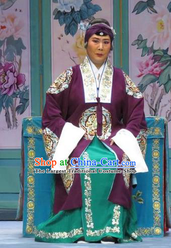 Chinese Hebei Clapper Opera Rich Dame Garment Costumes and Headdress The Story of Jade Bracelet Traditional Bangzi Opera Pantaloon Dress Elderly Female Apparels