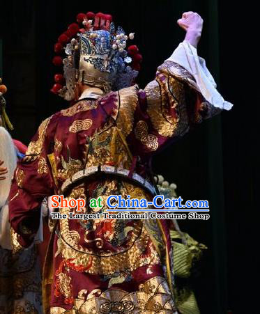 Chinese Shanxi Opera Jing Role Apparels Costumes and Headpieces Traditional Jin Opera General Garment Shogun Hu Dahai Clothing