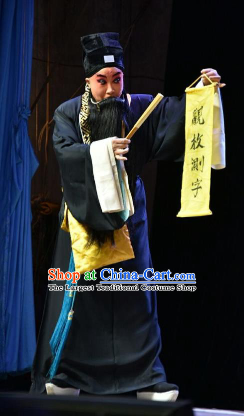Fifteen Strings of Cash Chinese Shanxi Opera Laosheng Kuang Zhong Apparels Costumes and Headpieces Traditional Jin Opera Elderly Male Garment Soothsayer Clothing