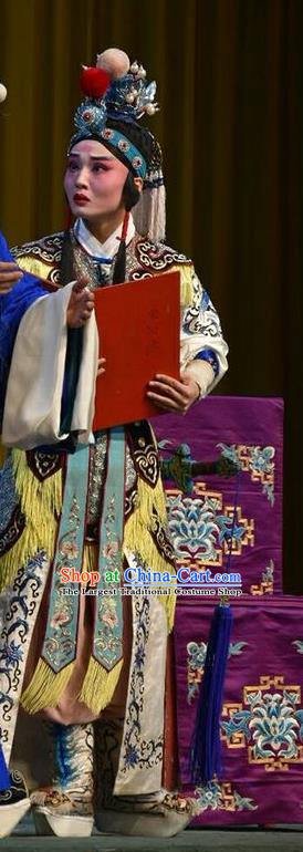 Sacrifice Chinese Shanxi Opera Young Boy Apparels Costumes and Headpieces Traditional Jin Opera Martial Male Garment Zhao Wu Clothing