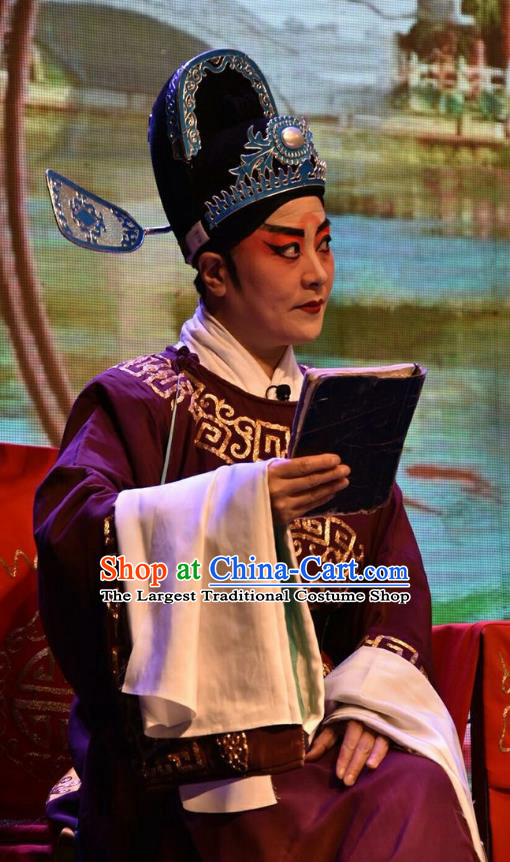 Red Book Sword Chinese Shanxi Opera Xiaosheng Apparels Costumes and Headpieces Traditional Jin Opera Young Male Garment Official Gao Zhen Clothing