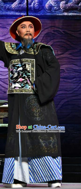 He Qing Hai Yan Chinese Shanxi Opera Qing Dynasty Governor Li Yumei Apparels Costumes and Headpieces Traditional Jin Opera Elderly Male Garment Official Clothing